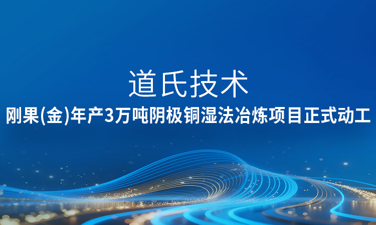 新进展！威廉希尔技术刚果（金）年产3万吨阴极铜湿法冶炼项目正式动工